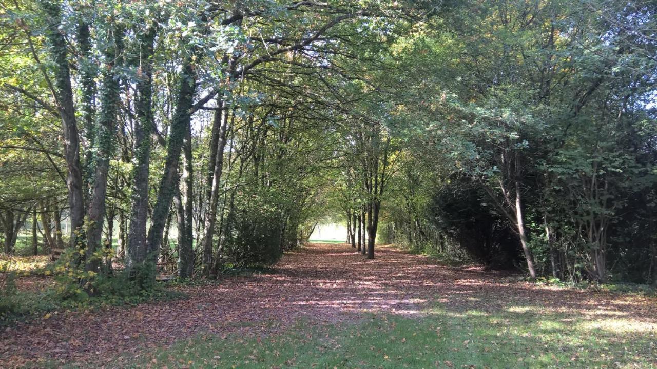 Gite Des Etangs De Beaulieu Le Plessis-Dorin ภายนอก รูปภาพ