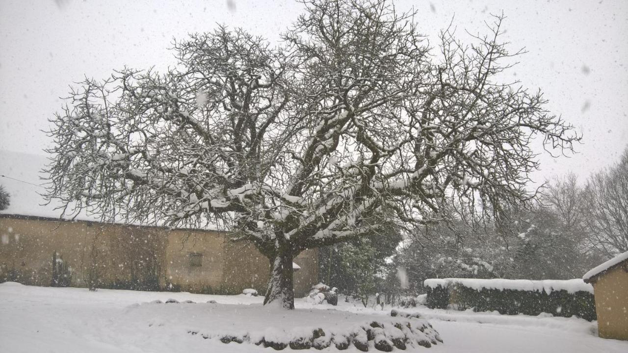 Gite Des Etangs De Beaulieu Le Plessis-Dorin ภายนอก รูปภาพ