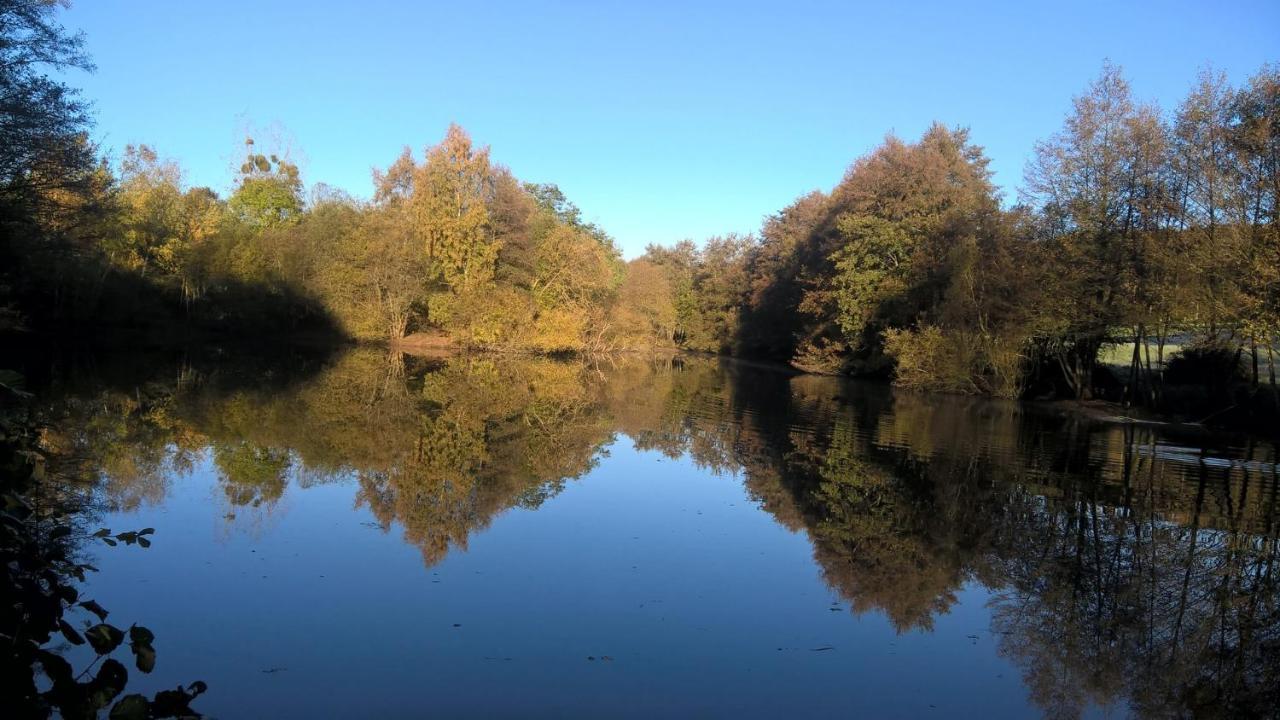 Gite Des Etangs De Beaulieu Le Plessis-Dorin ภายนอก รูปภาพ